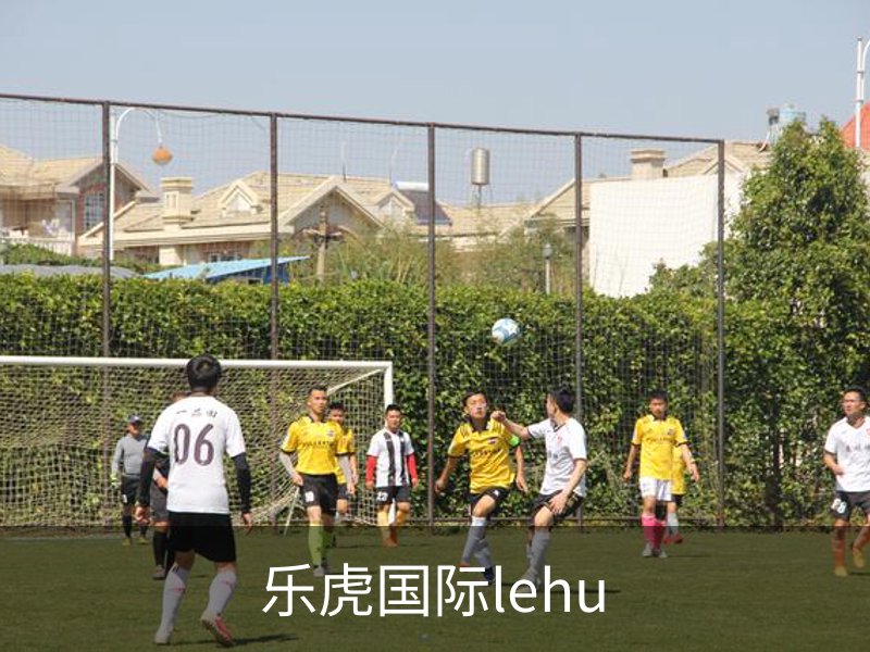 乐虎国际lehu概况